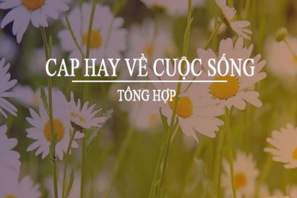 cap-stt-hay-ve-cuoc-song