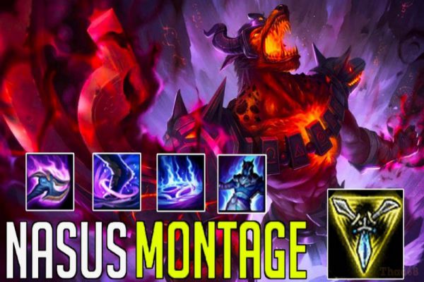 nasus