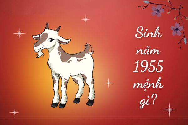 sinh-nam-1955-menh-gi-1